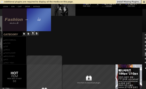 FS Internet Services