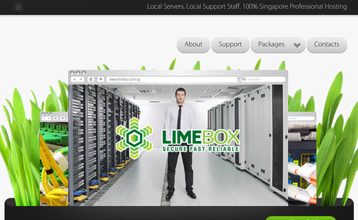 Limebox Hosting Solutions Singapore