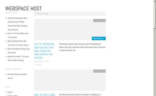 Web Space Host