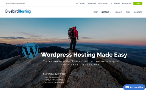 Bluebird Hosting