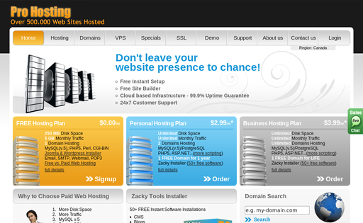 Pro Hosting