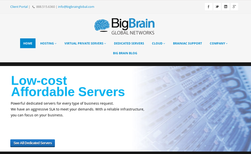 Big Brain Global Networks
