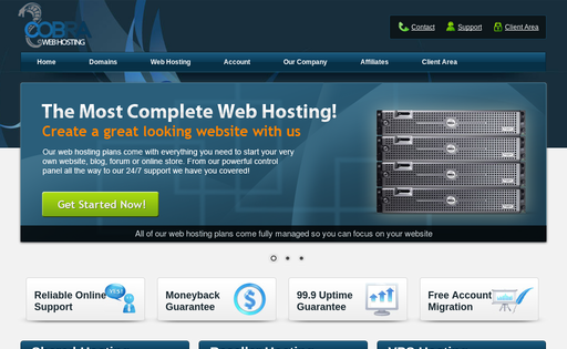 Cobra Web Hosting at Web Hosting Search