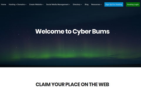 Cyber Bums