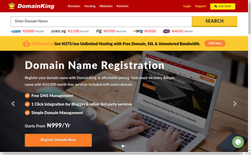 DomainKing.NG