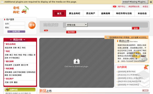 Prolan Network Services