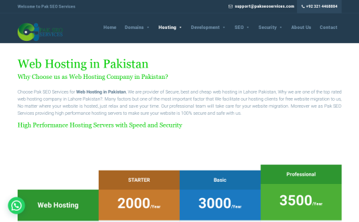 Pak SEO Services