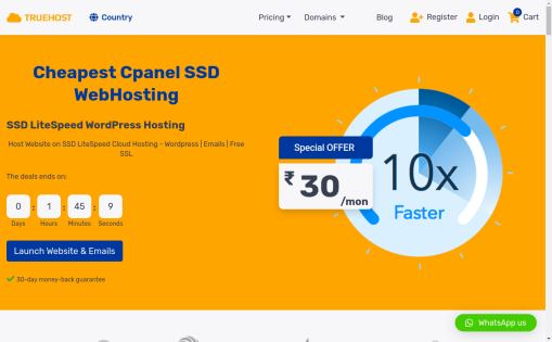 Truehost India
