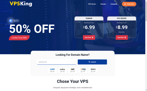 VPSKing.net