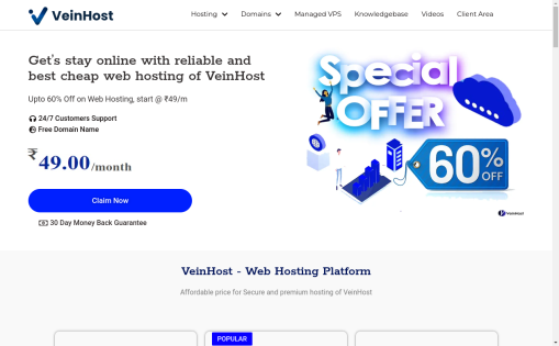 VeinHost