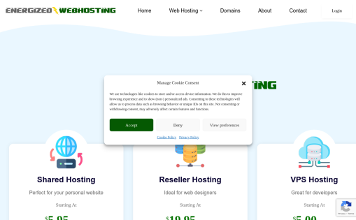 Energized Web Hosting