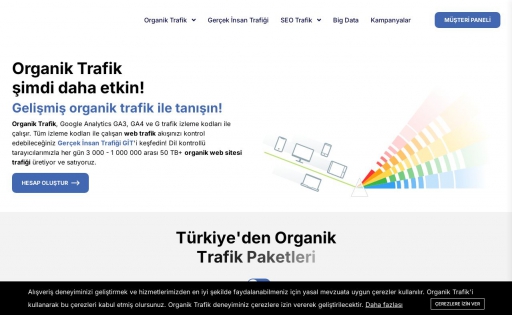 Organik Trafik