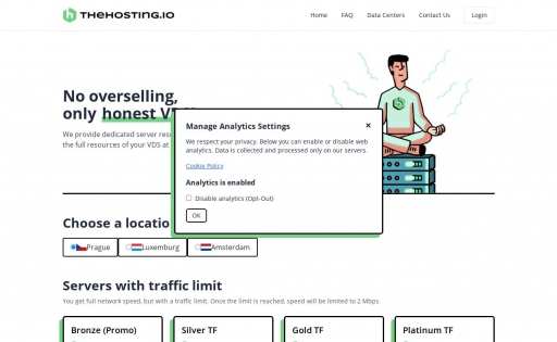 thehosting.io