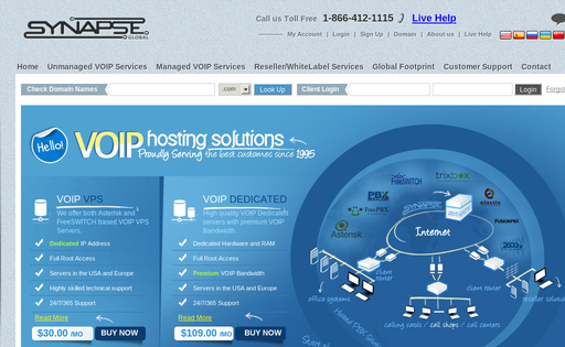 Synapse Global