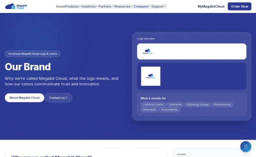 Megabit Cloud