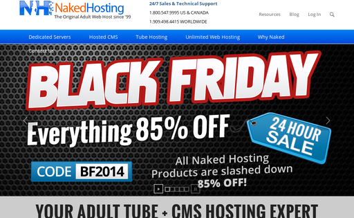 Naked Hosting - Adult Site Hosting