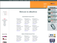 eBizAlive